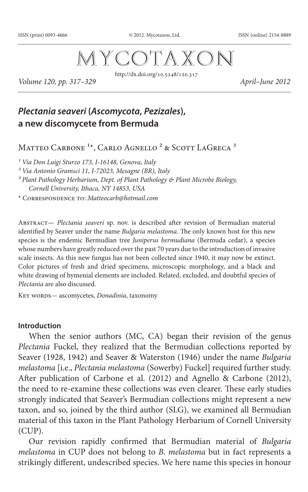 &lt;I&gt;Plectania Seaveri&lt;/I&gt; (&lt;I&gt;Ascomycota&lt;/I&gt;, &lt;I&gt;Pezizales&lt;/I&gt;), a New Discomycete from Bermu