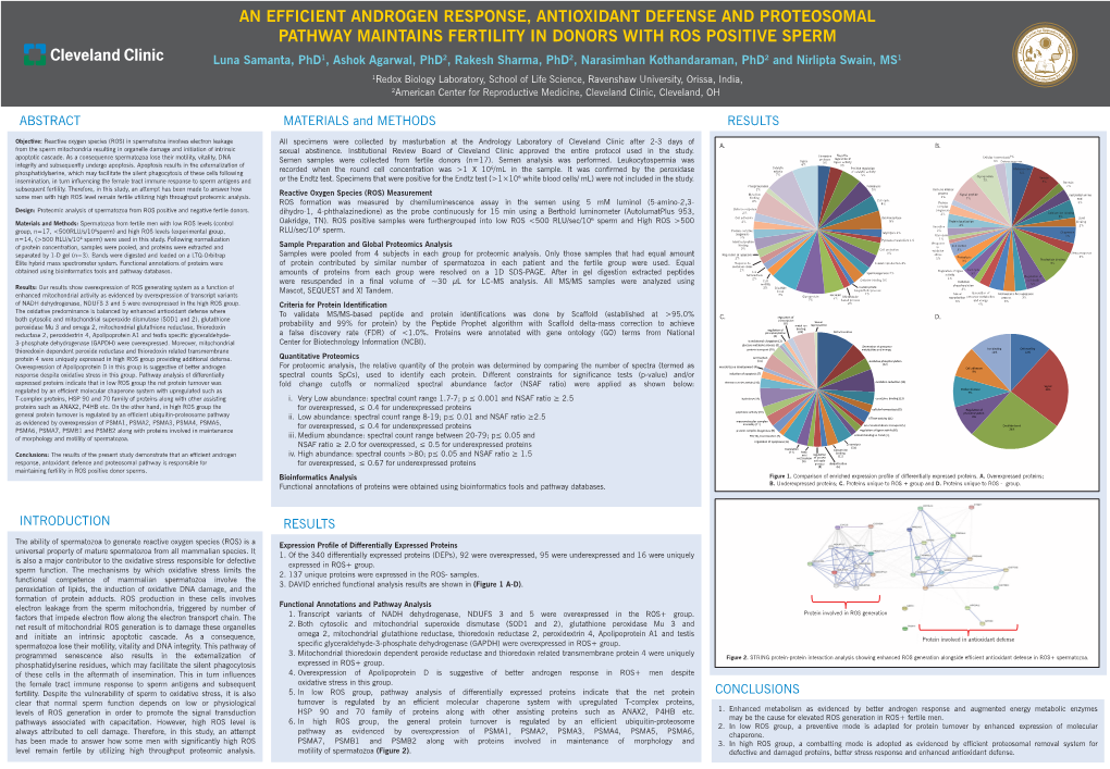 An Efficient Androgen Response, Antioxidant Defense and Proteosomal Pathway Maintains Fertility in Donors with ROS Positive