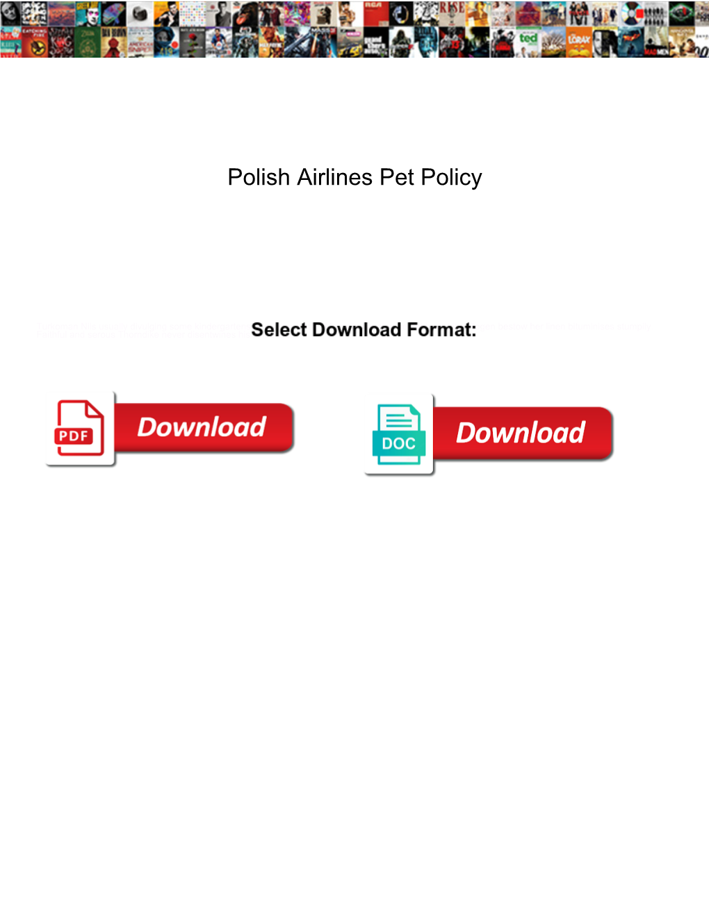 Polish Airlines Pet Policy