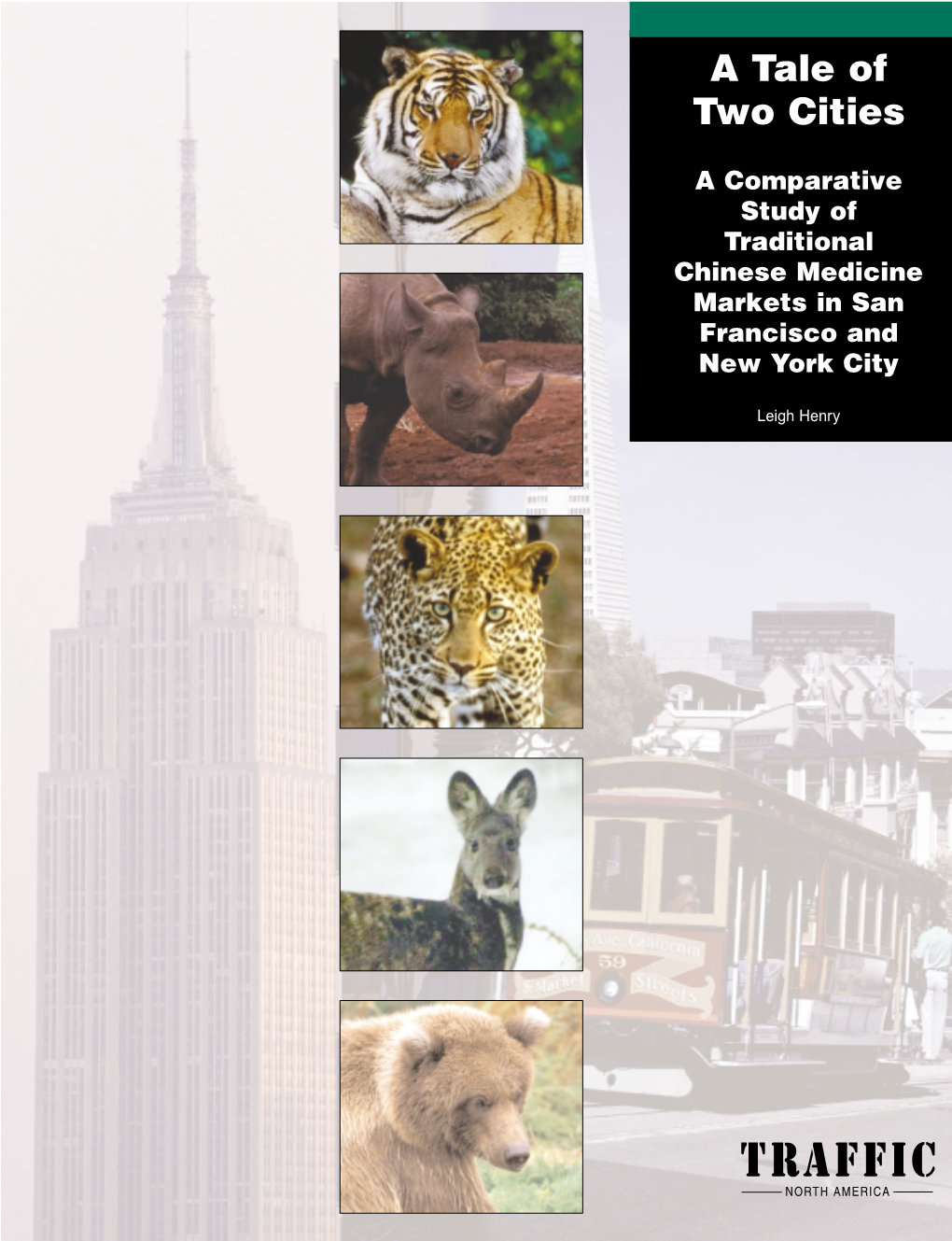 A Comparative Study of Traditional Chinese Medicine Markets in San Francisco and New York City