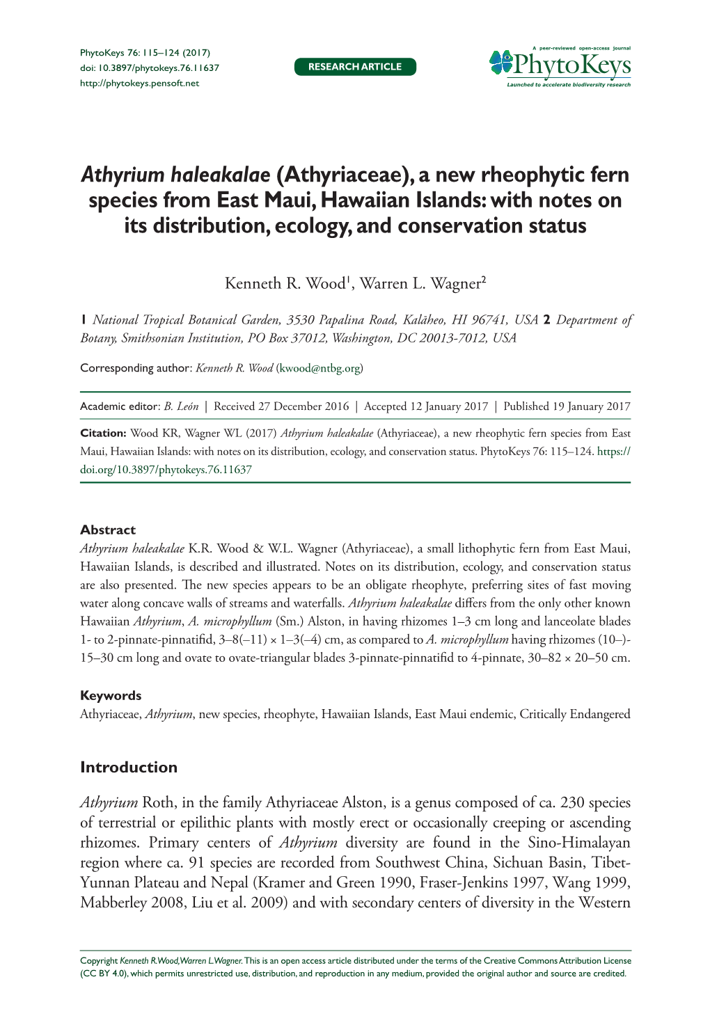 A New Rheophytic Fern Species from East Maui, Hawaiian Islands: with Notes on Its Distribution, Ecology, and Conservation Status