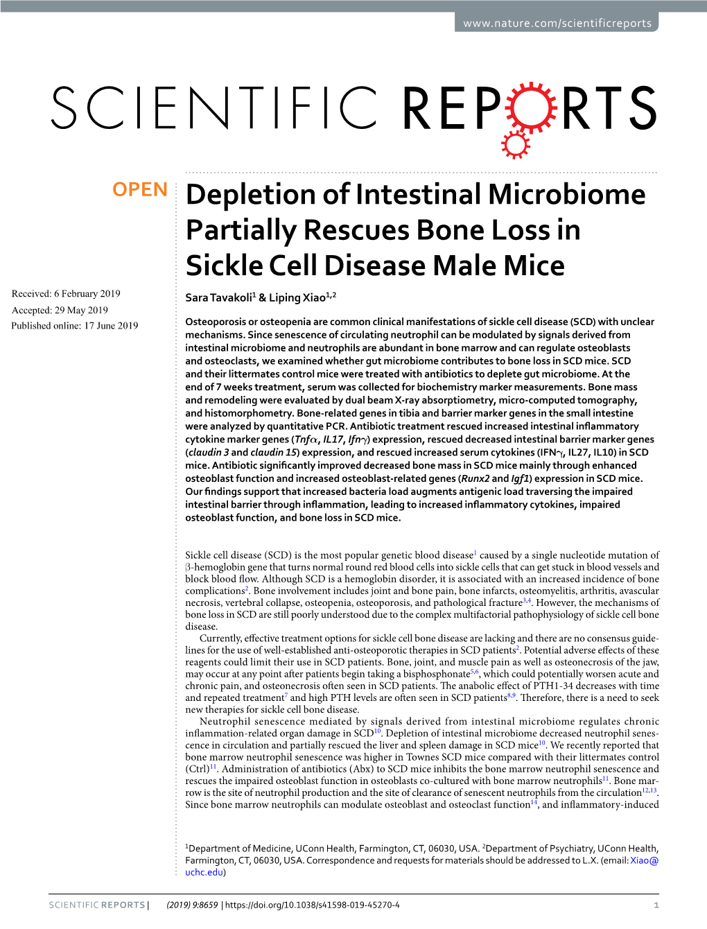 Depletion of Intestinal Microbiome Partially Rescues Bone Loss in Sickle Cell Disease Male Mice