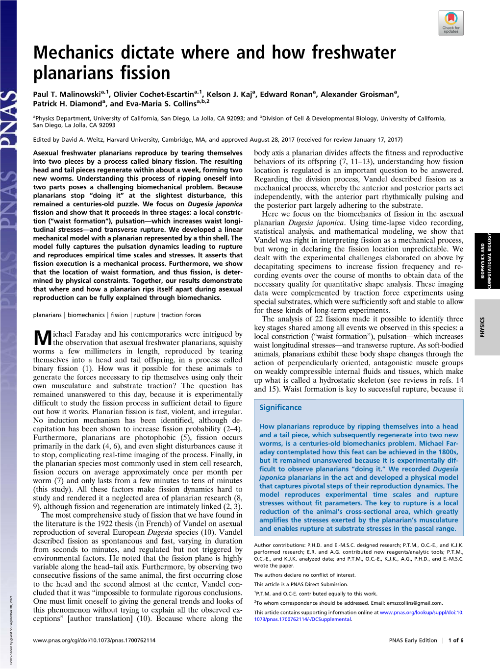 Mechanics Dictate Where and How Freshwater Planarians Fission