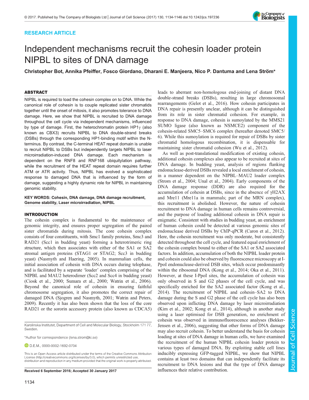 Independent Mechanisms Recruit the Cohesin Loader Protein NIPBL to Sites of DNA Damage Christopher Bot, Annika Pfeiffer, Fosco Giordano, Dharani E