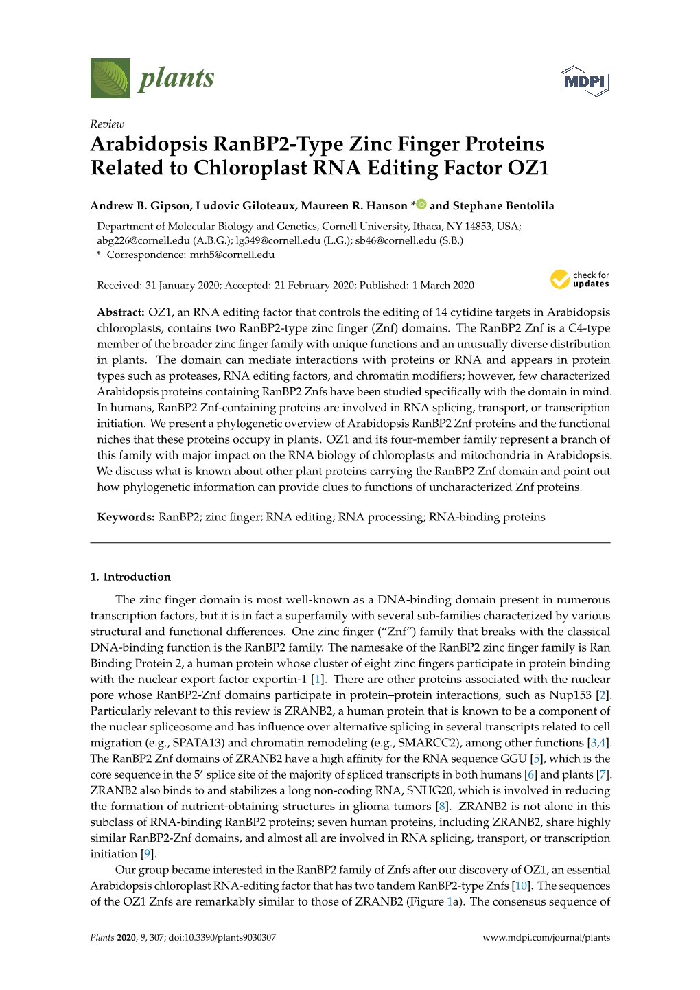 Arabidopsis Ranbp2-Type Zinc Finger Proteins Related to Chloroplast RNA Editing Factor OZ1