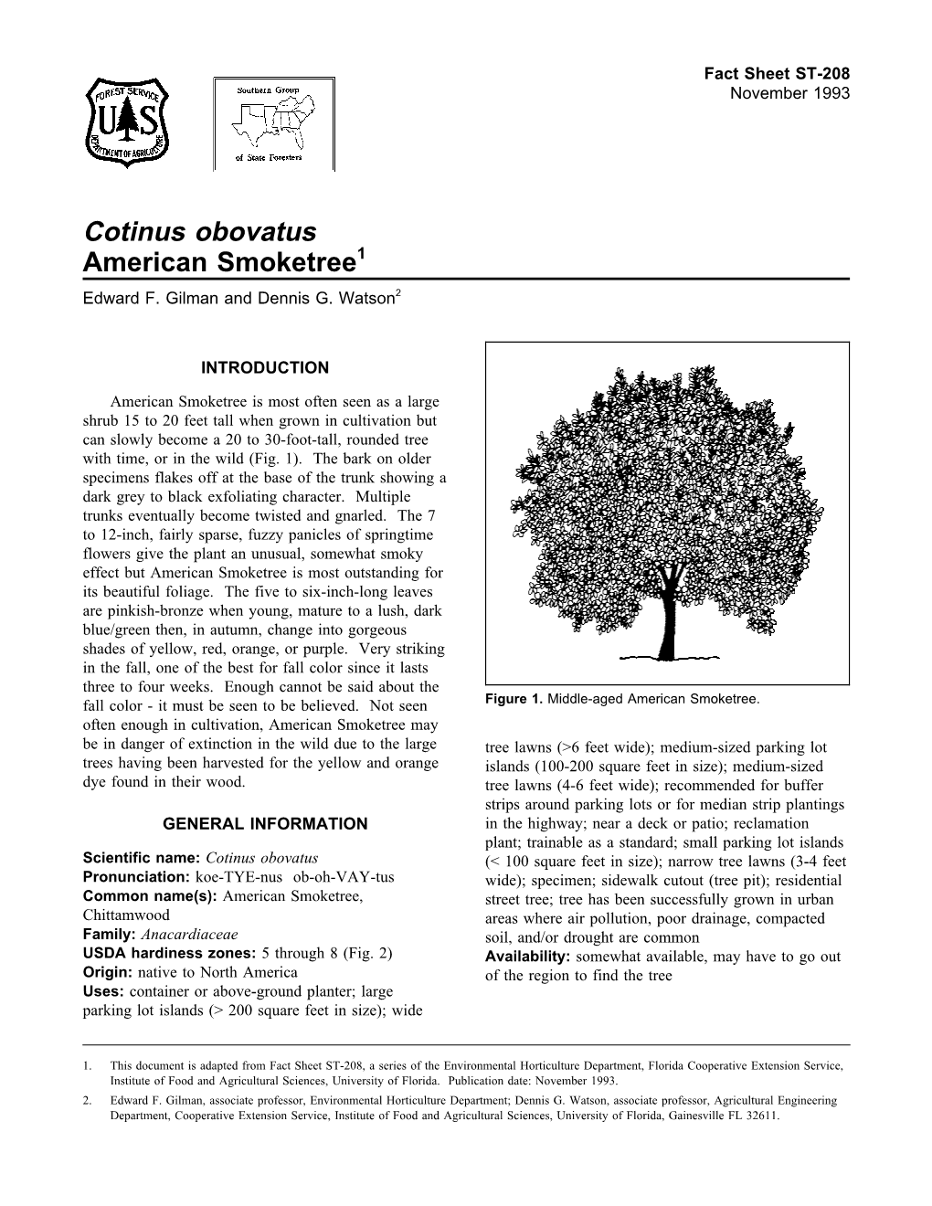 Cotinus Obovatus American Smoketree1 Edward F