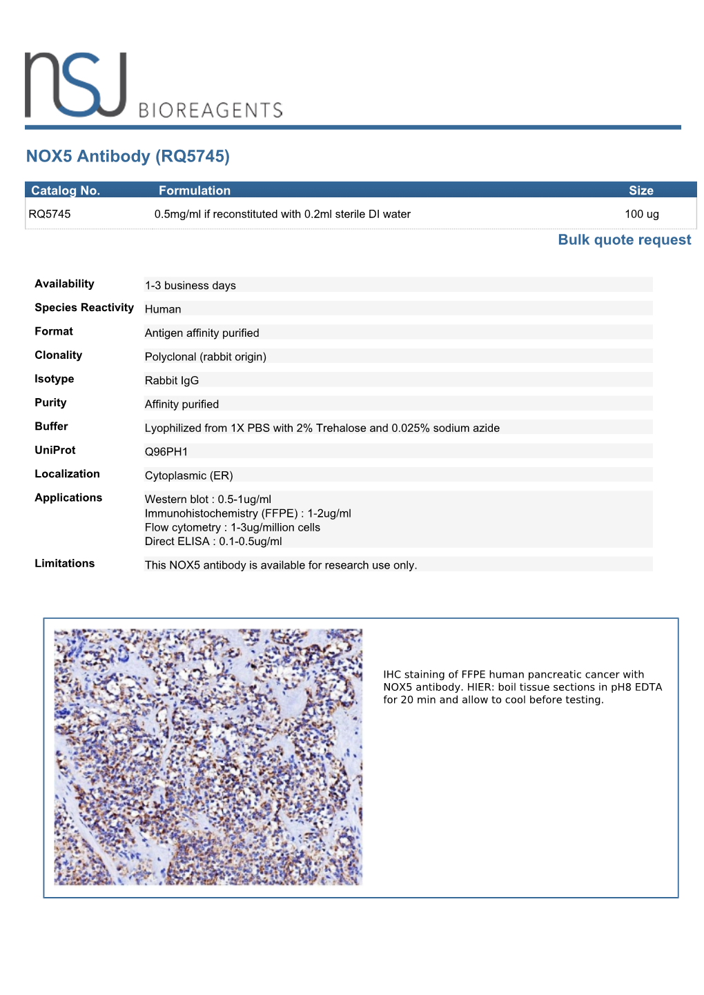 NOX5 Antibody (RQ5745)