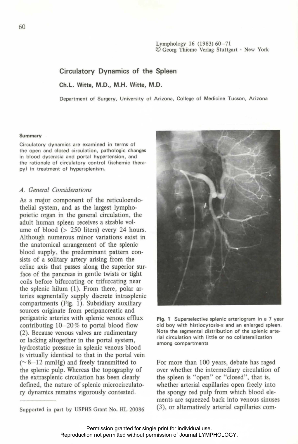 Circulatory Dynamics of the Spleen