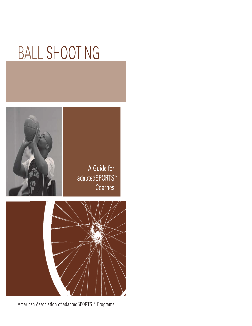 Ball Shooting Guide