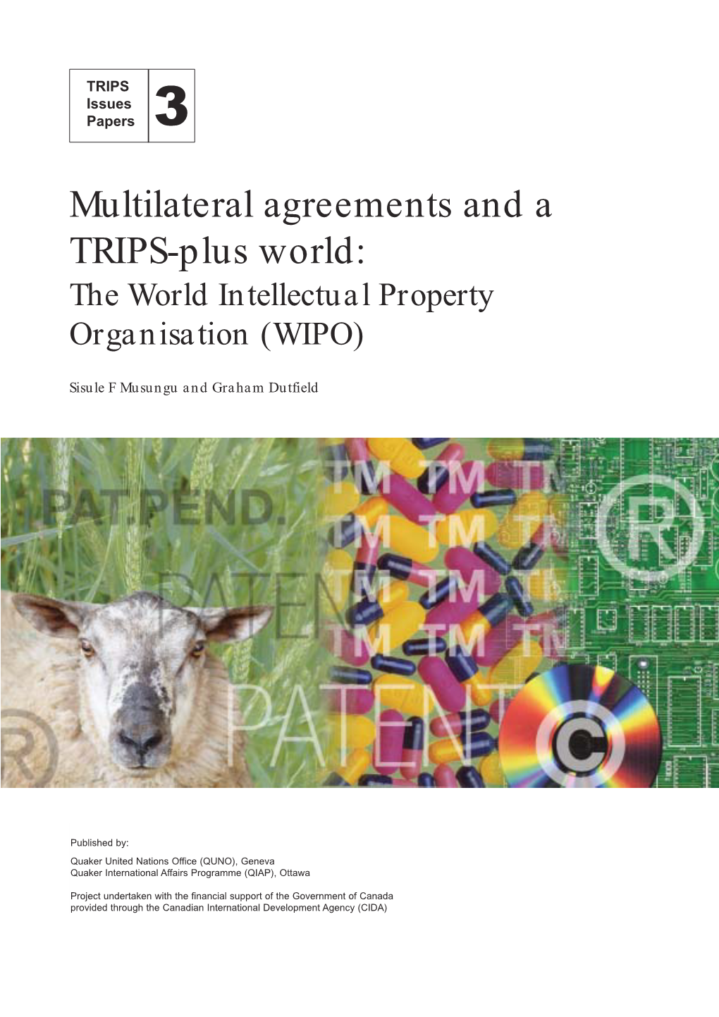 Multilateral Agreements and a TRIPS-Plus World: the World Intellectual Property Organization