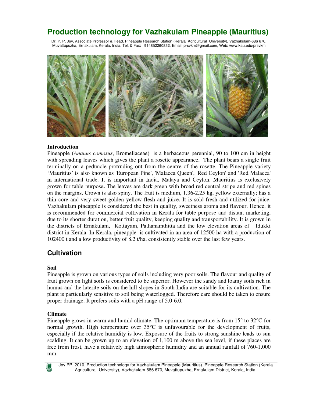 Production Technology for Vazhakulam Pineapple Mauritius