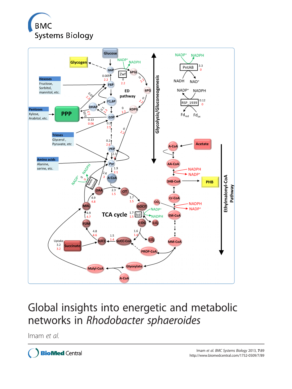 Global Insights Into Energetic and Metabolic Networks in Rhodobacter Sphaeroides Imam Et Al