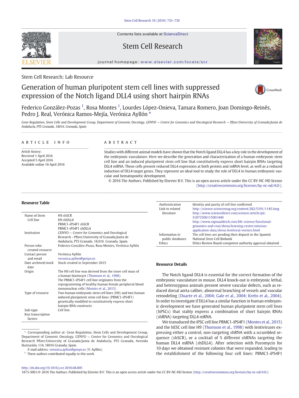 Generation of Human Pluripotent Stem Cell Lines with Suppressed Expression of the Notch Ligand DLL4 Using Short Hairpin Rnas