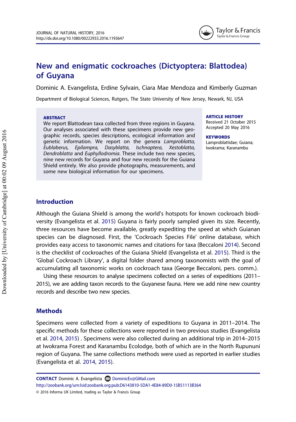 New and Enigmatic Cockroaches (Dictyoptera: Blattodea) of Guyana Dominic A