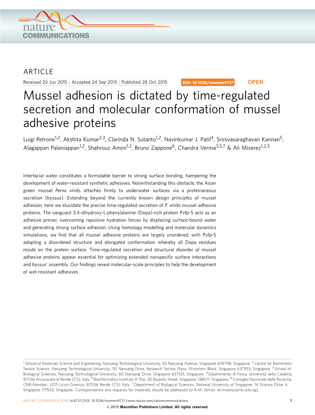 Mussel Adhesion Is Dictated by Time-Regulated Secretion and Molecular Conformation of Mussel Adhesive Proteins