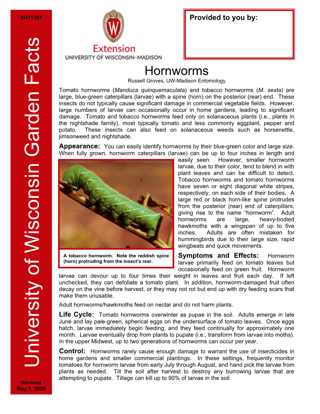 Hornworms Russell Groves, UW-Madison Entomology