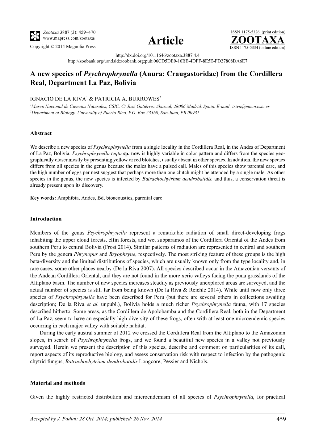 A New Species of Psychrophrynella (Anura: Craugastoridae) from the Cordillera Real, Department La Paz, Bolivia