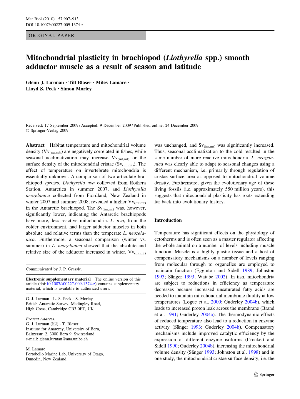 Mitochondrial Plasticity in Brachiopod (Liothyrella Spp.) Smooth Adductor Muscle As a Result of Season and Latitude