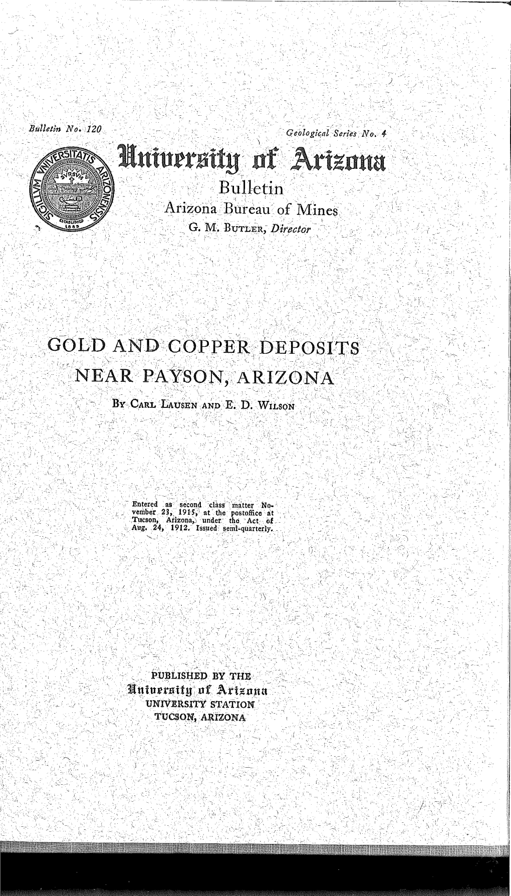 Gold & Copper Deposits Near Payson, Arizona