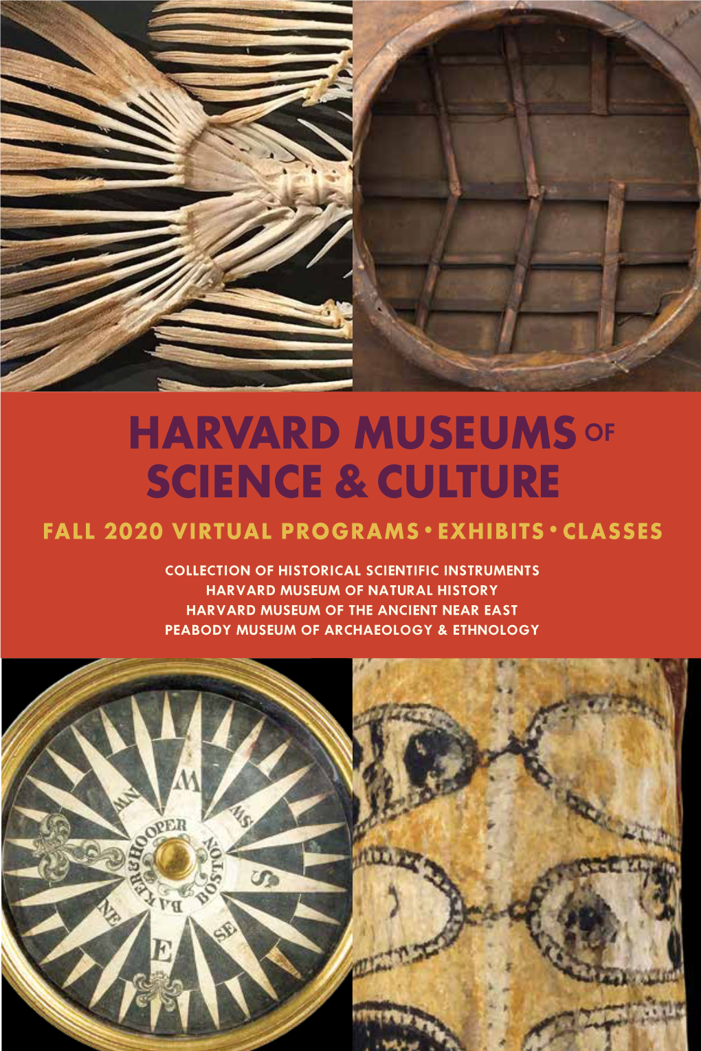 Fall 2020 Virtual Programs•Exhibits•Classes Harvard Museums Science