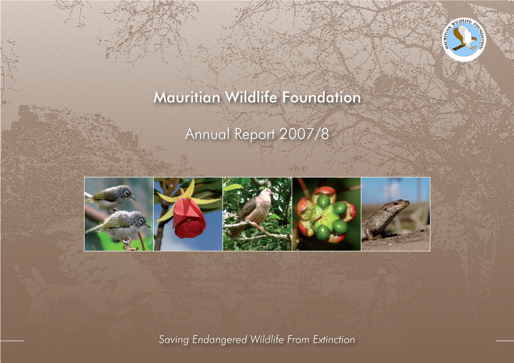 MWF Annual Report 2007-2008