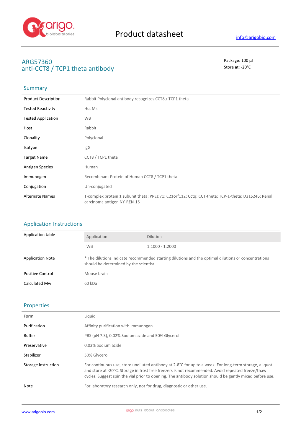 Anti-CCT8 / TCP1 Theta Antibody (ARG57360)