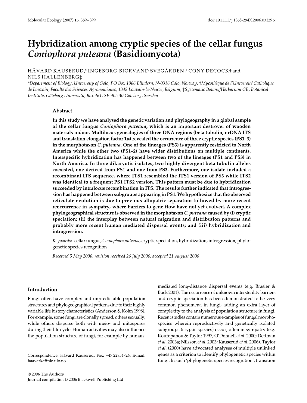 Hybridization Among Cryptic Species of the Cellar Fungus Coniophora Puteana (Basidiomycota)