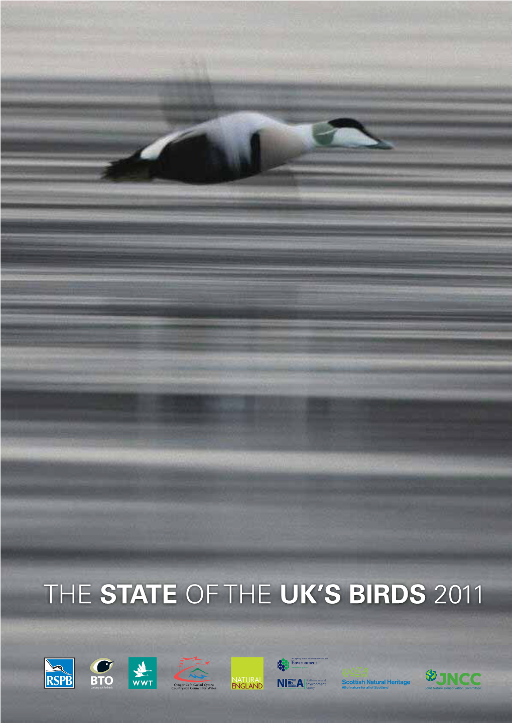 State of the UK's Birds 2011