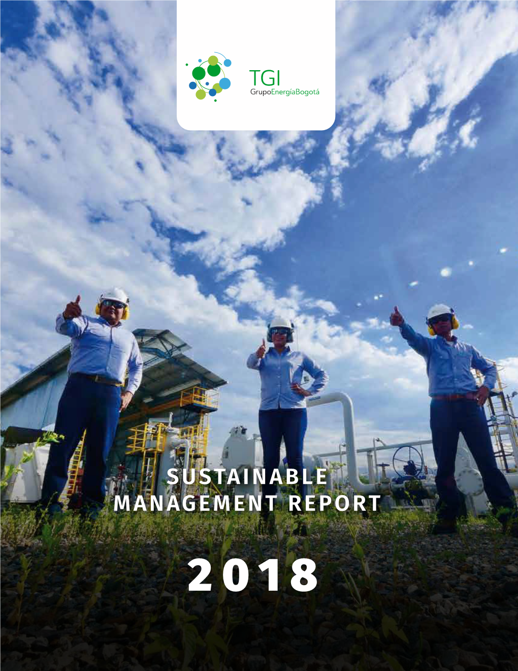 SUSTAINABLE MANAGEMENT REPORT We Thank the Teams That Supported the Drafting of This Management Report