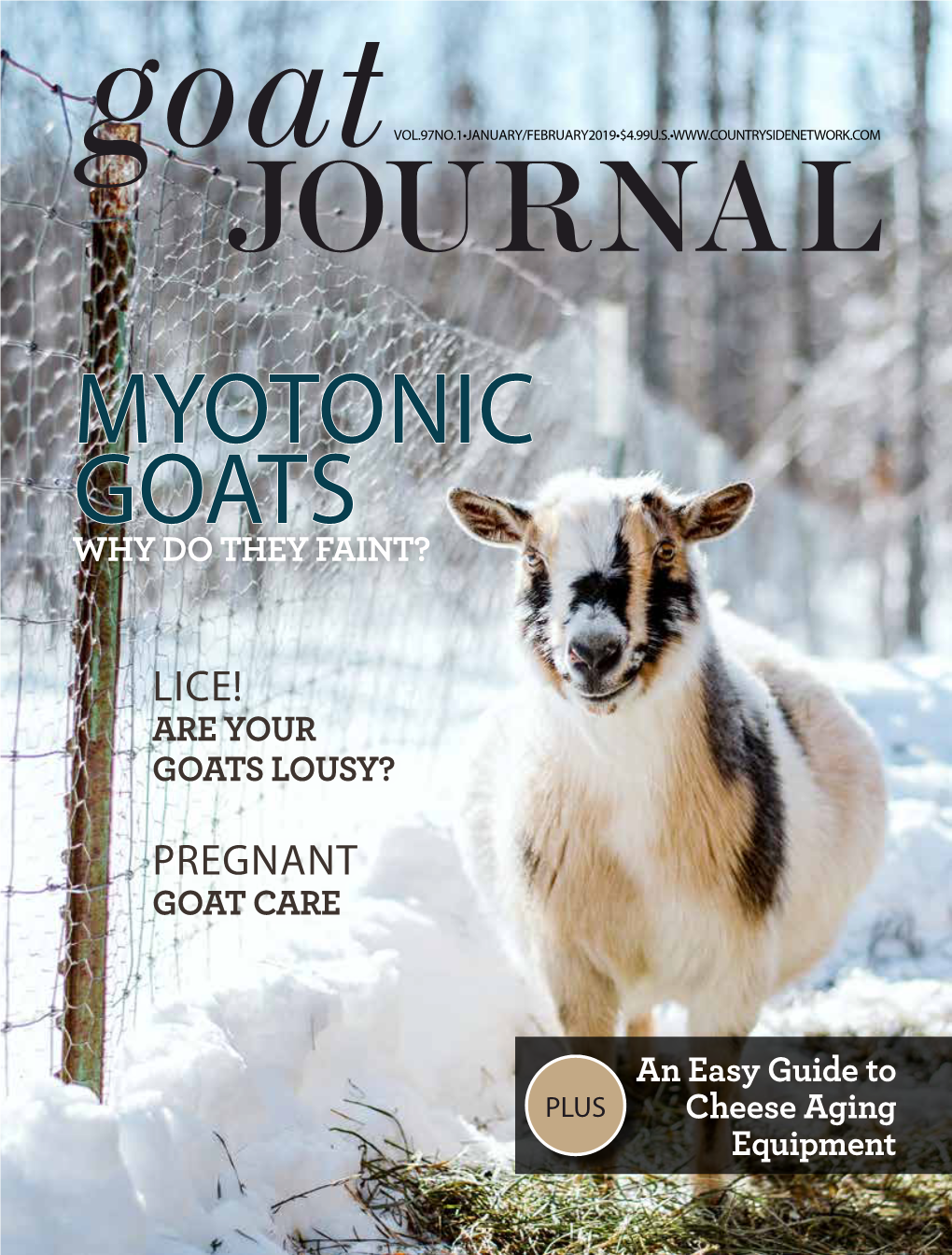 Myotonic Goats Why Do They Faint?
