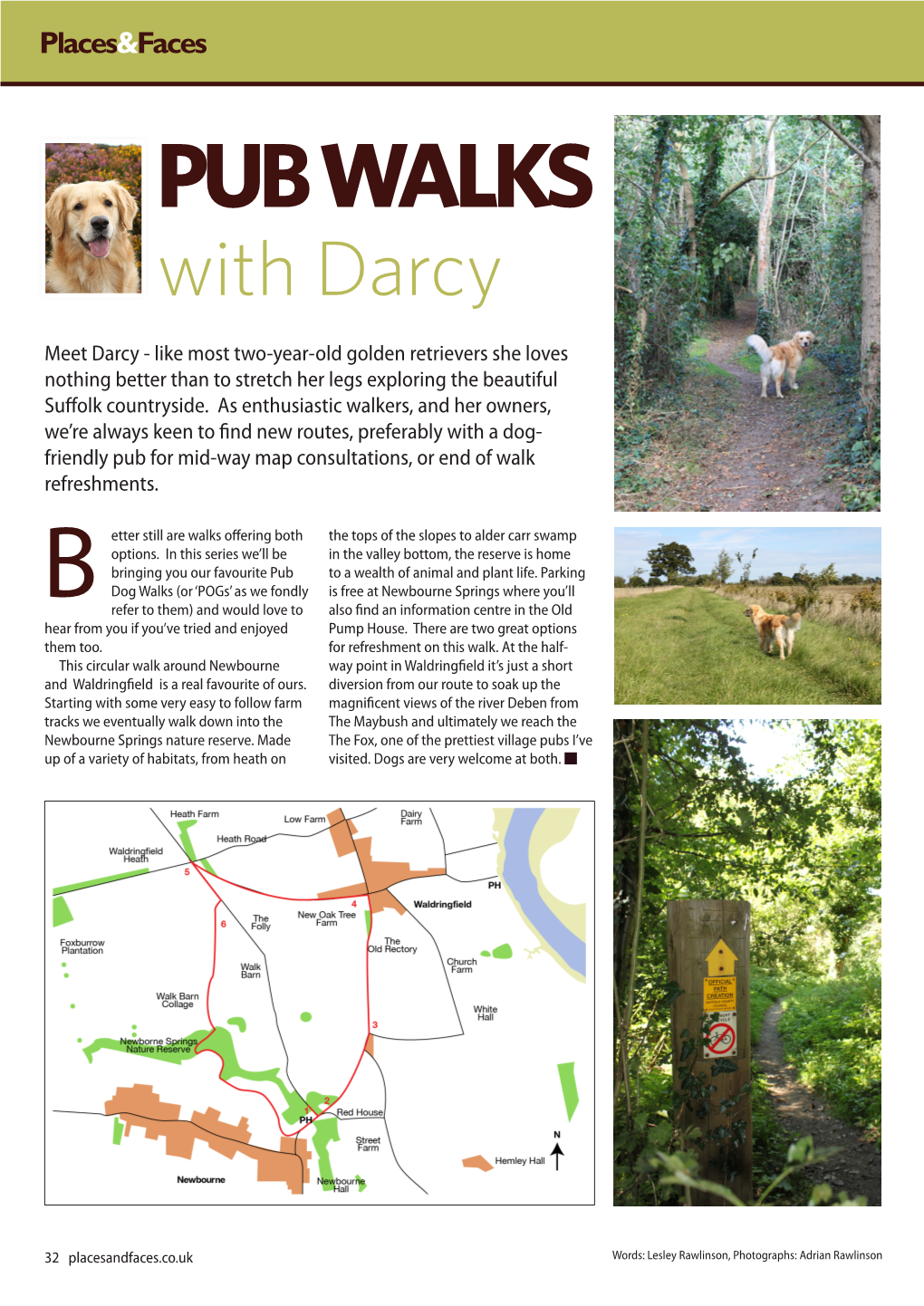 PUB WALKS with Darcy