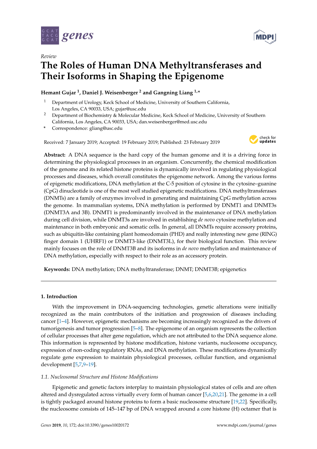 The Roles of Human DNA Methyltransferases and Their Isoforms in Shaping the Epigenome