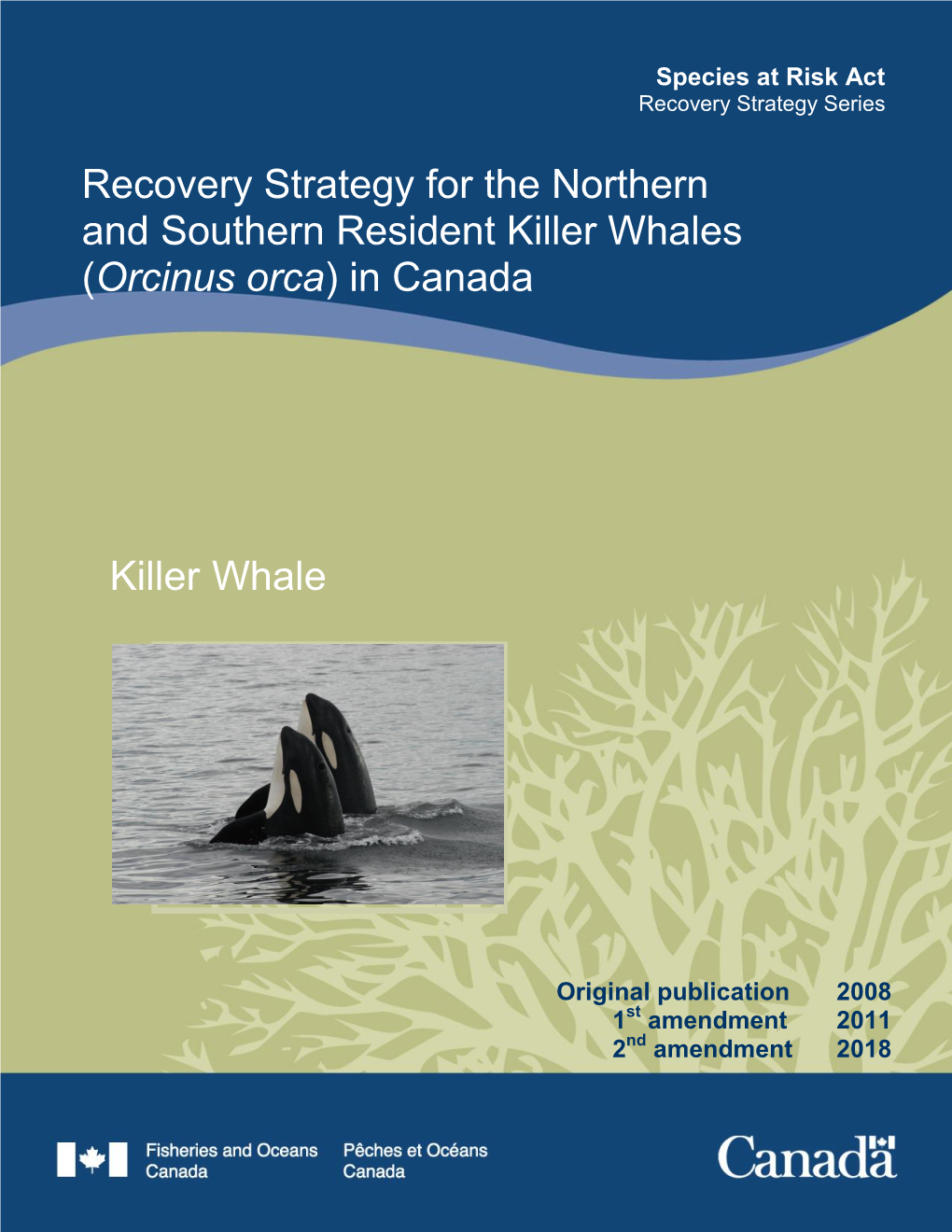 Killer Whale Recovery Strategy