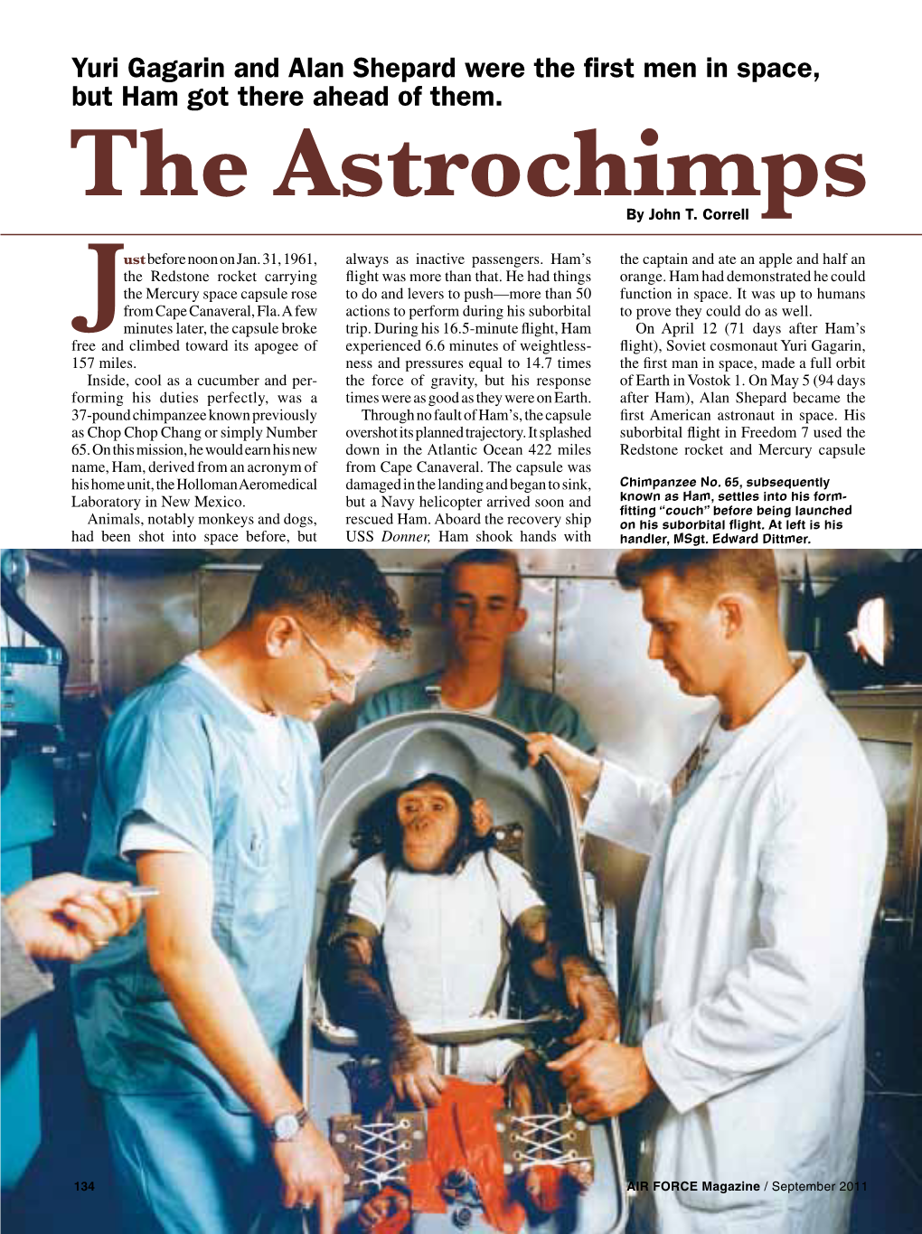 The Astrochimps J