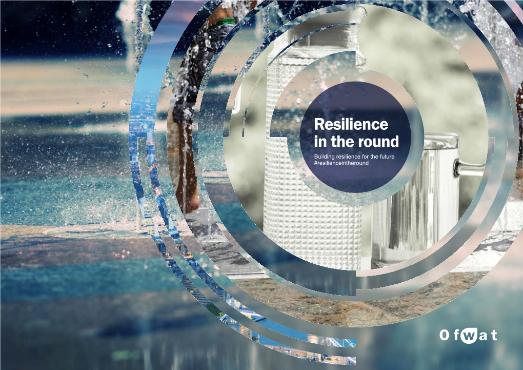 Resilience in the Round Building Resilience for the Future #Resilienceintheround Foreword