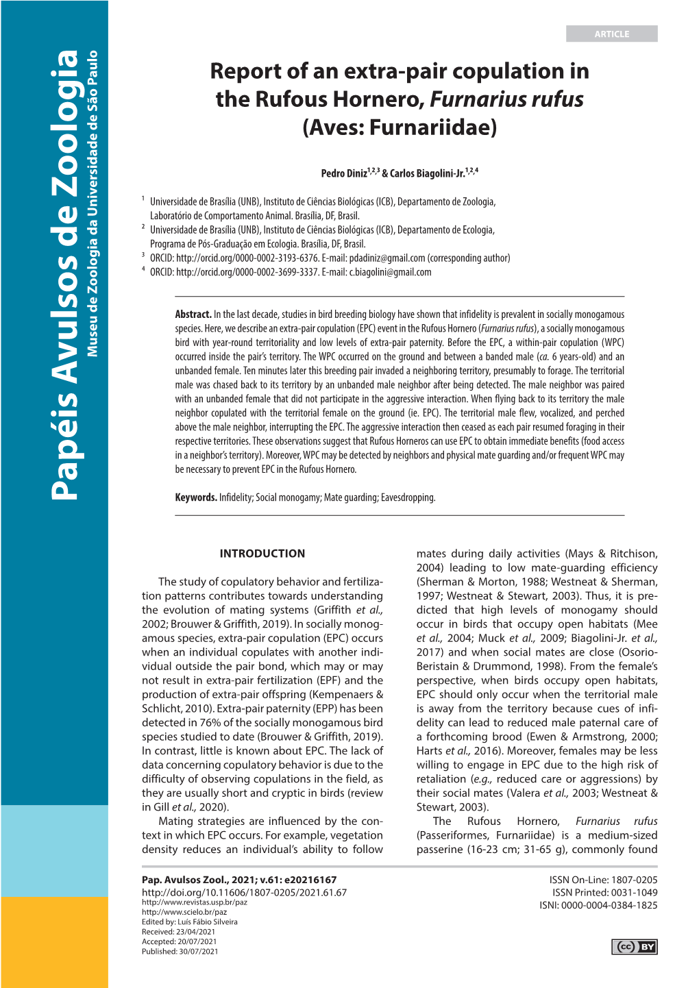 Report of an Extra-Pair Copulation in the Rufous Hornero, Furnarius Rufus (Aves: Furnariidae)