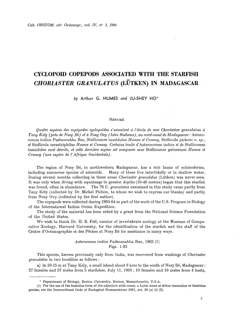 Cyclopoid Copepods Associated with the Starfish Choriaster