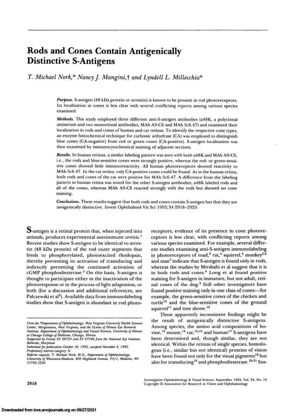 Rods and Cones Contain Antigenically Distinctive S-Antigens