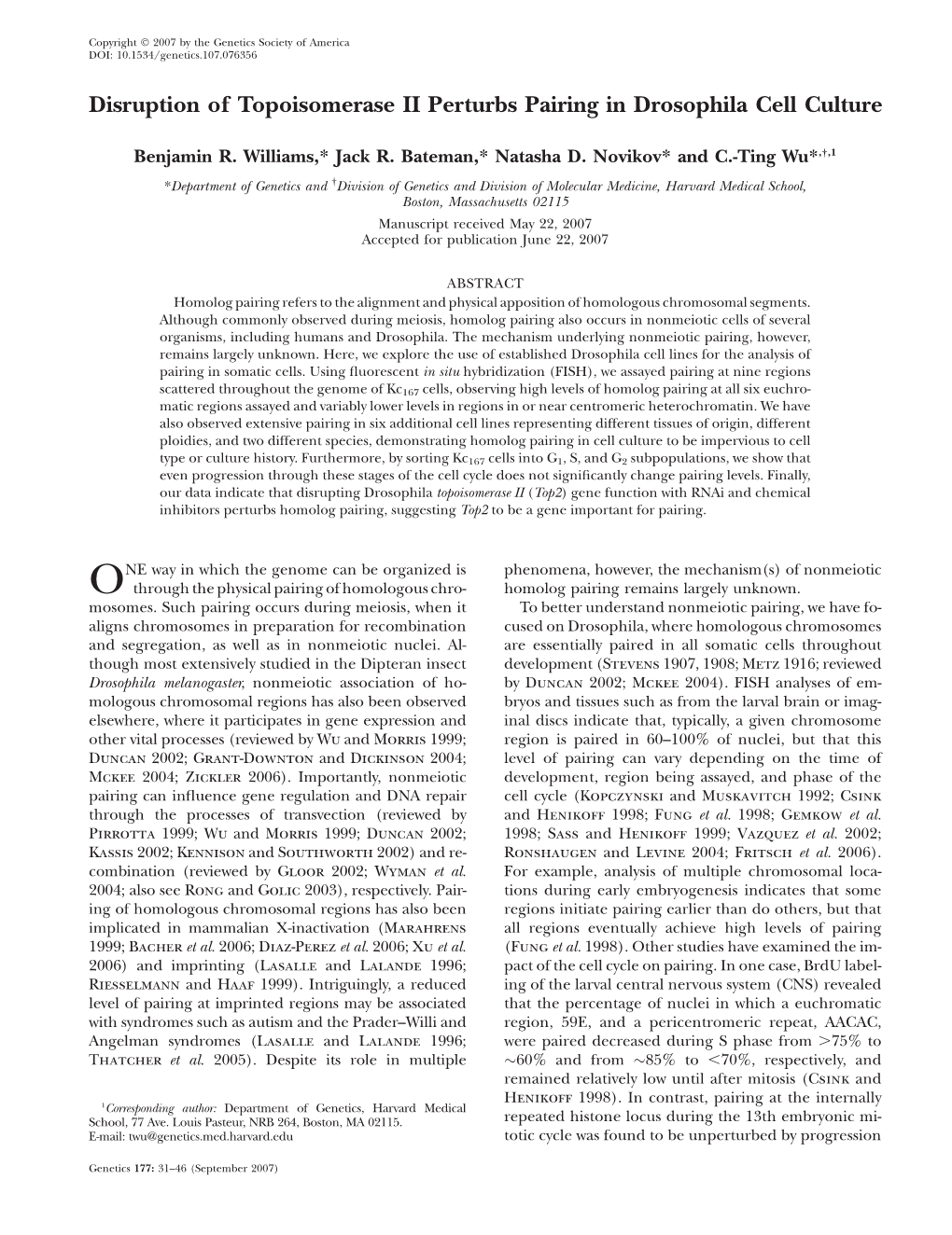 Disruption of Topoisomerase II Perturbs Pairing in Drosophila Cell Culture