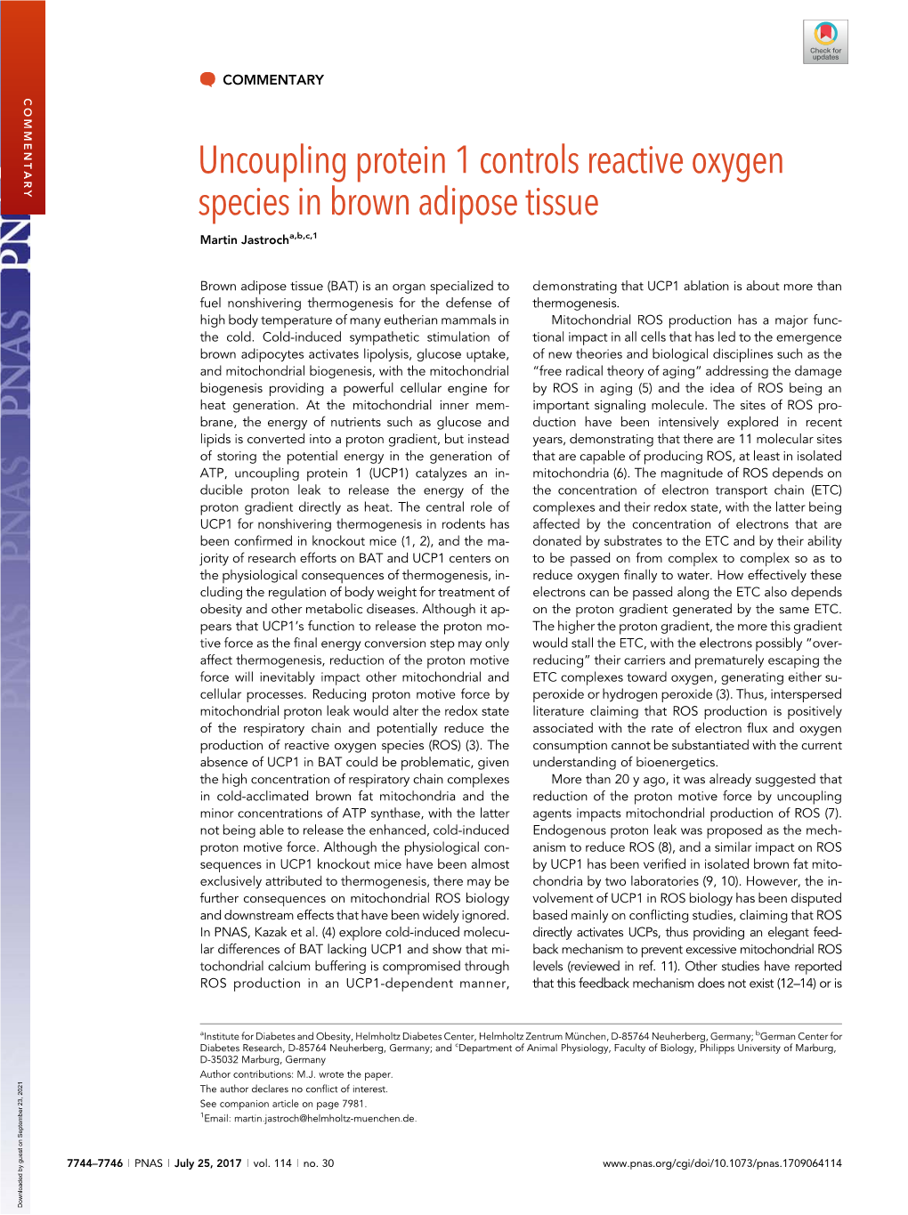 Uncoupling Protein 1 Controls Reactive Oxygen Species in Brown Adipose Tissue Martin Jastrocha,B,C,1