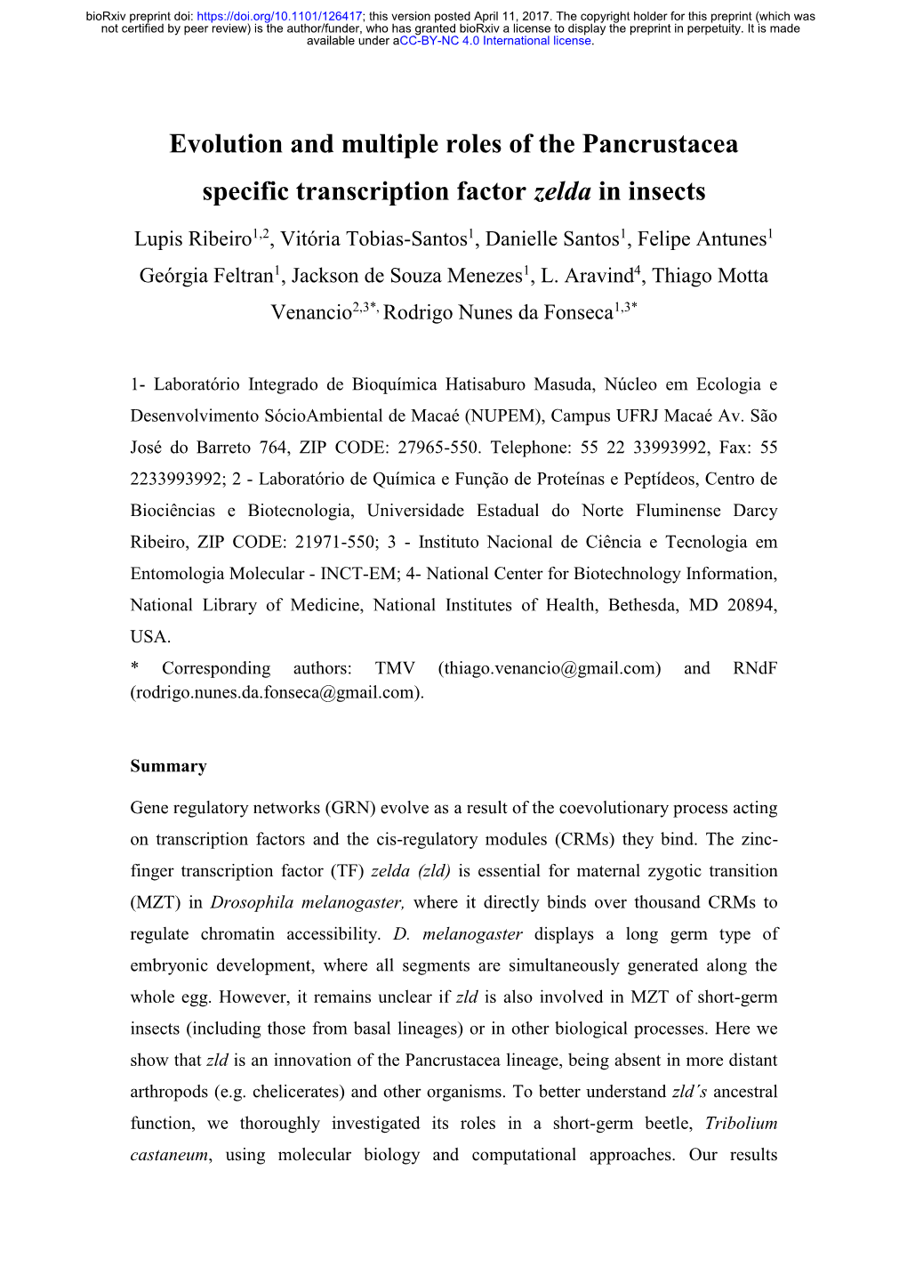 Evolution and Multiple Roles of the Pancrustacea Specific Transcription Factor Zelda in Insects