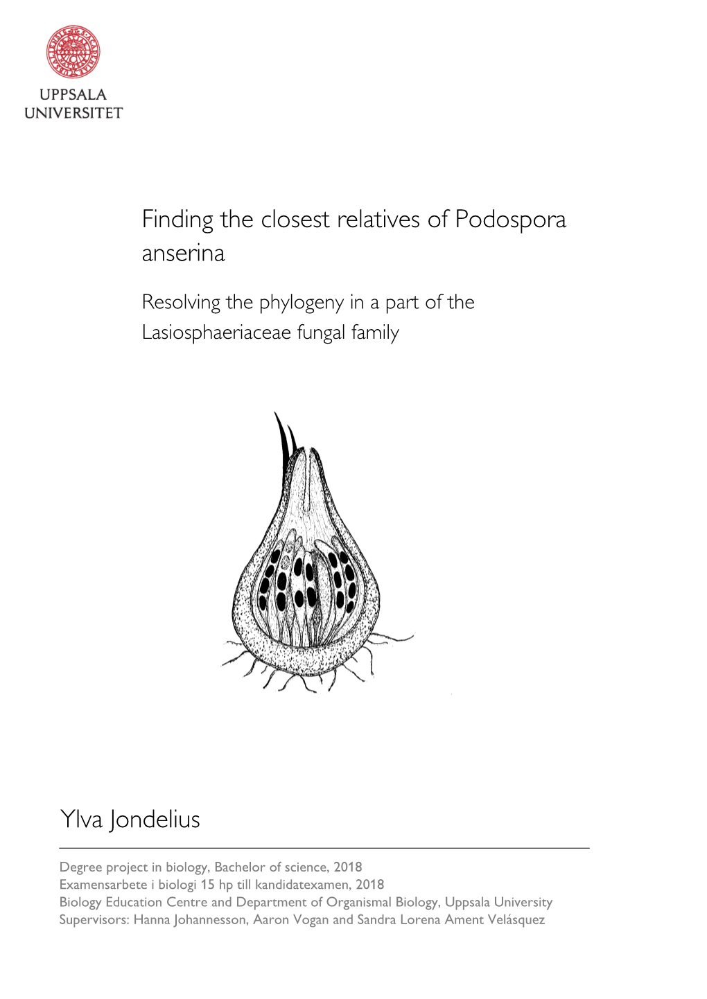 Finding the Closest Relatives of Podospora Anserina Ylva Jondelius