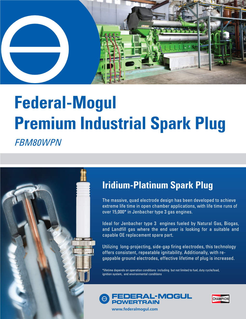 Federal-Mogul Premium Industrial Spark Plug FBM80WPN