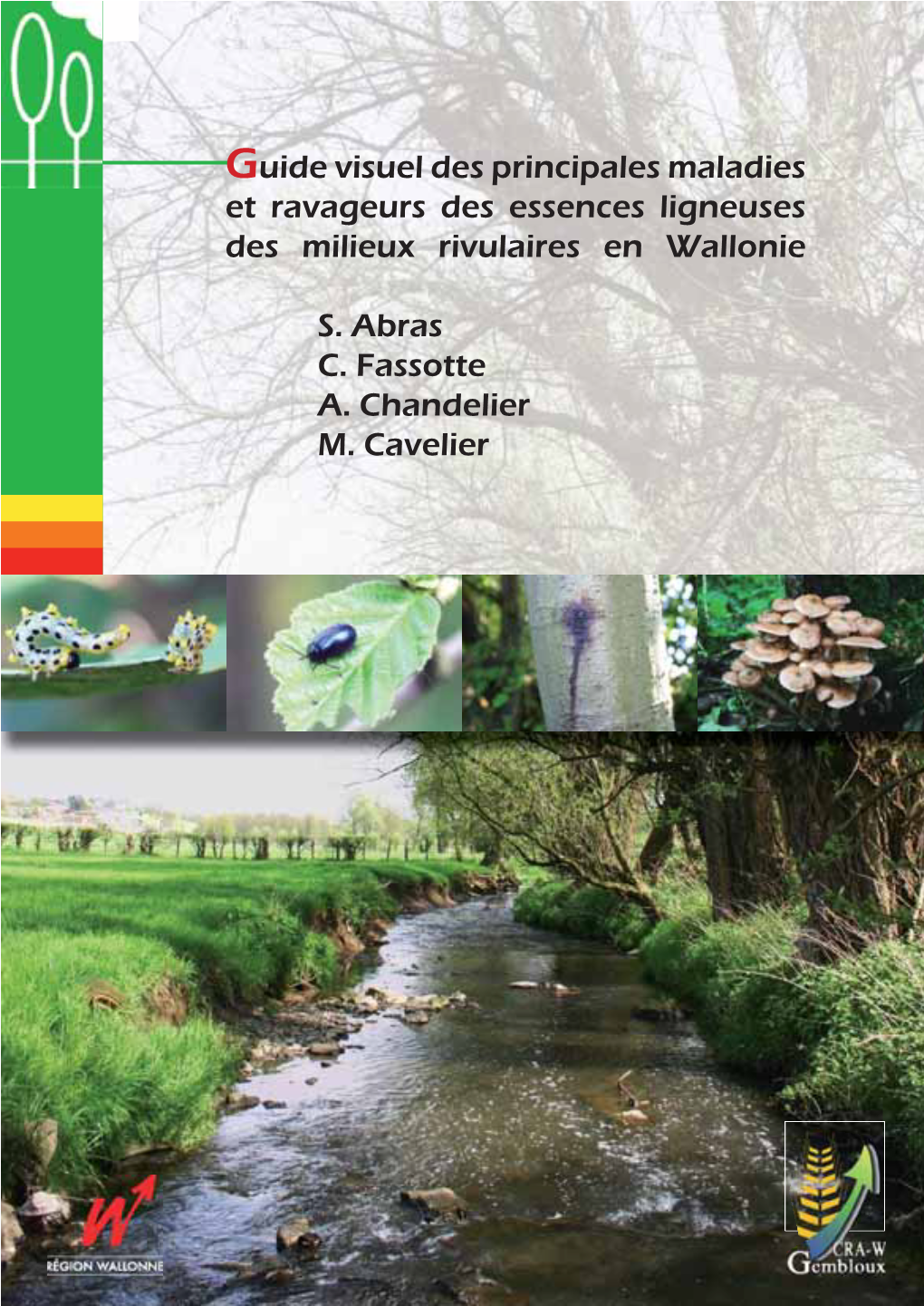 Guide Visuel Des Principales Maladies Et Ravageurs Des Essences Ligneuses Des Milieux Rivulaires En Wallonie