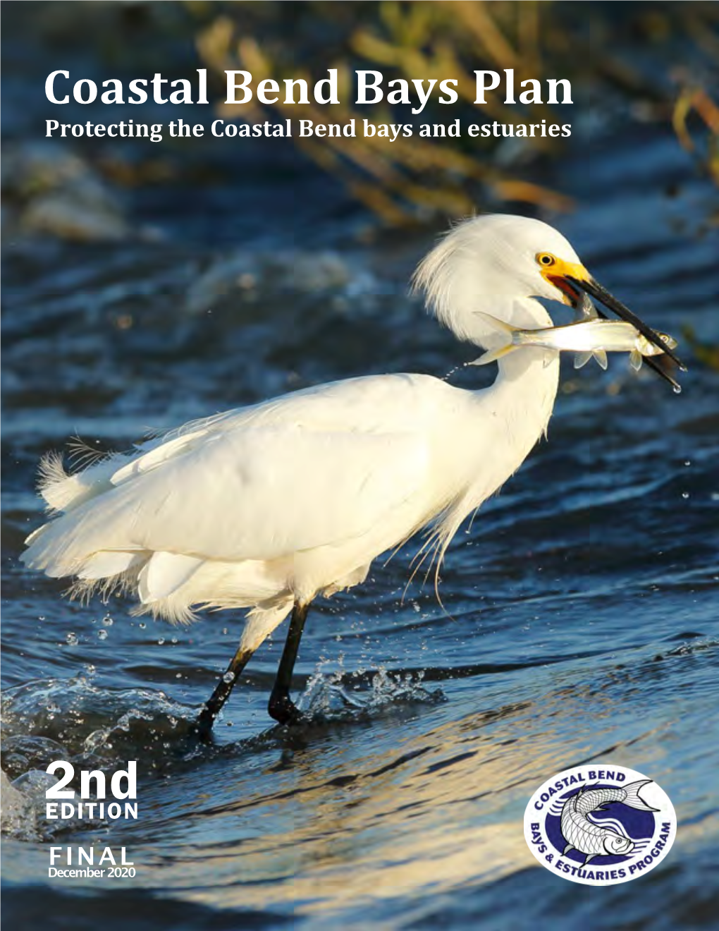 Coastal Bend Bays Plan Protecting the Coastal Bend Bays and Estuaries