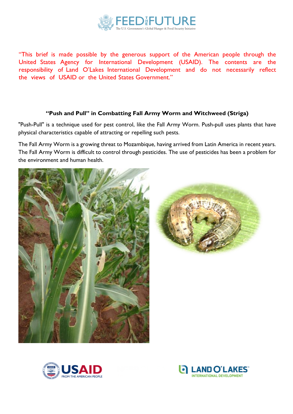 FAW and Striga Prevention Using the Push-Pull Method