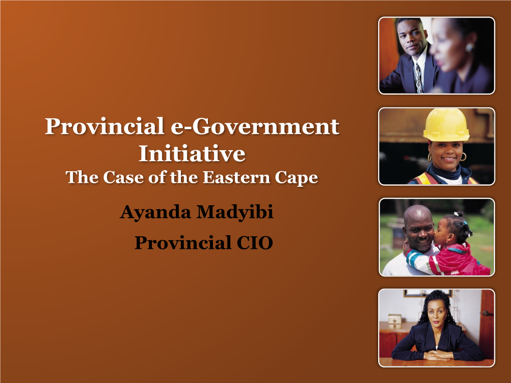 Eastern Cape Provincial E-Government Initiative.Pdf