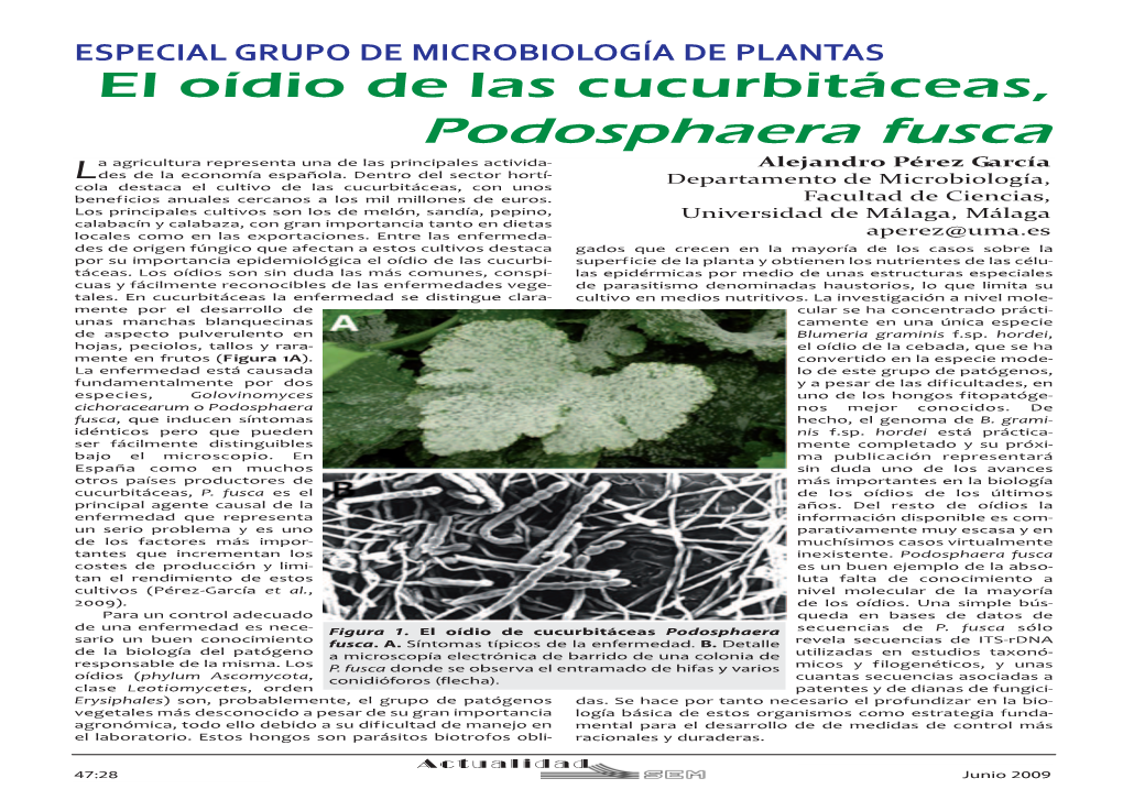 Podosphaera Fusca a Agricultura Representa Una De Las Principales Activida- Alejandro Pérez García Ldes De La Economía Española