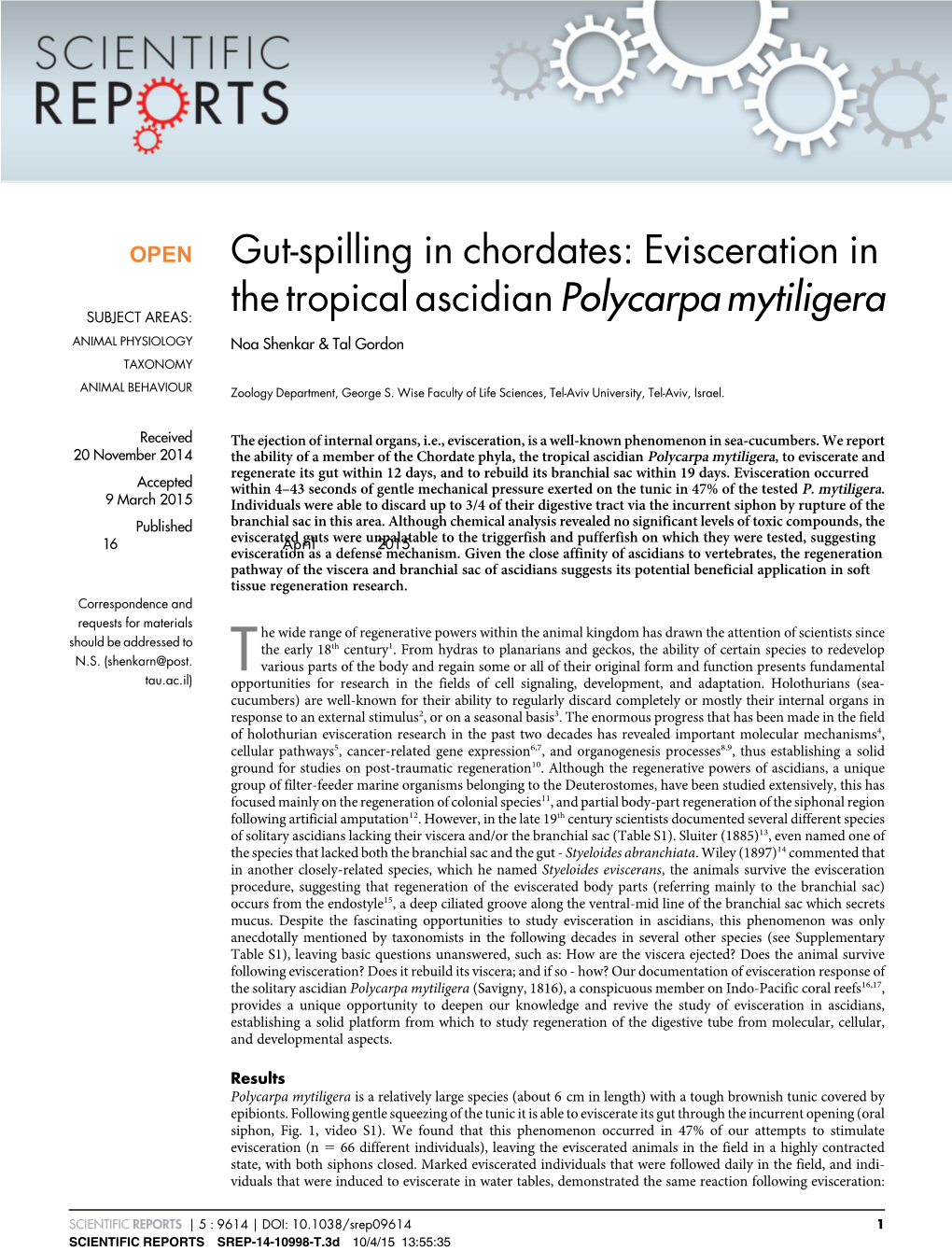 Gut-Spilling in Chordates: Evisceration in the Tropical Ascidianpolycarpa