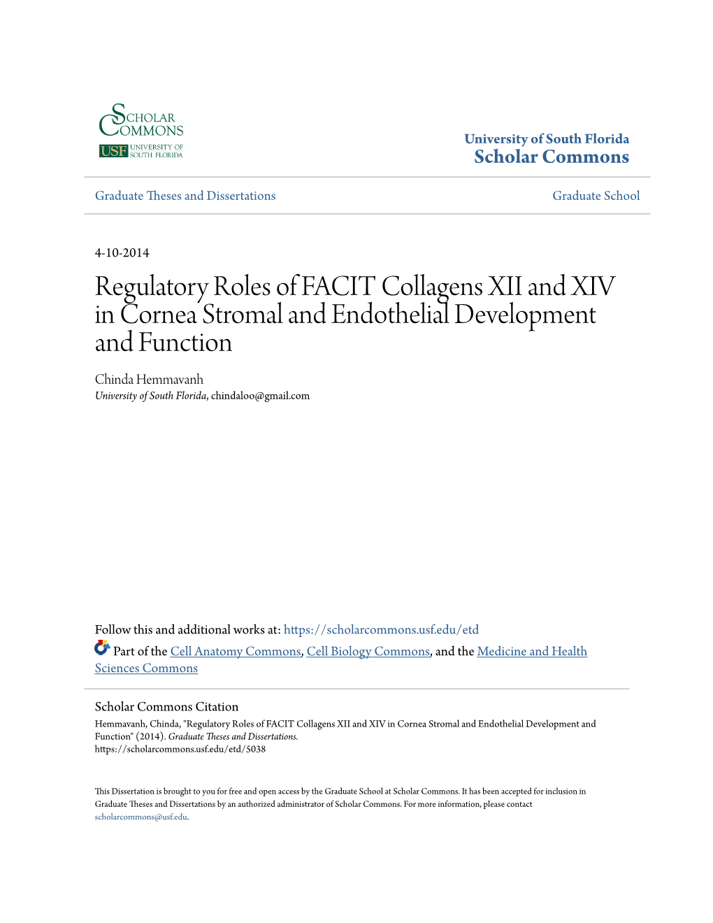 Regulatory Roles of FACIT Collagens XII and XIV in Cornea Stromal And
